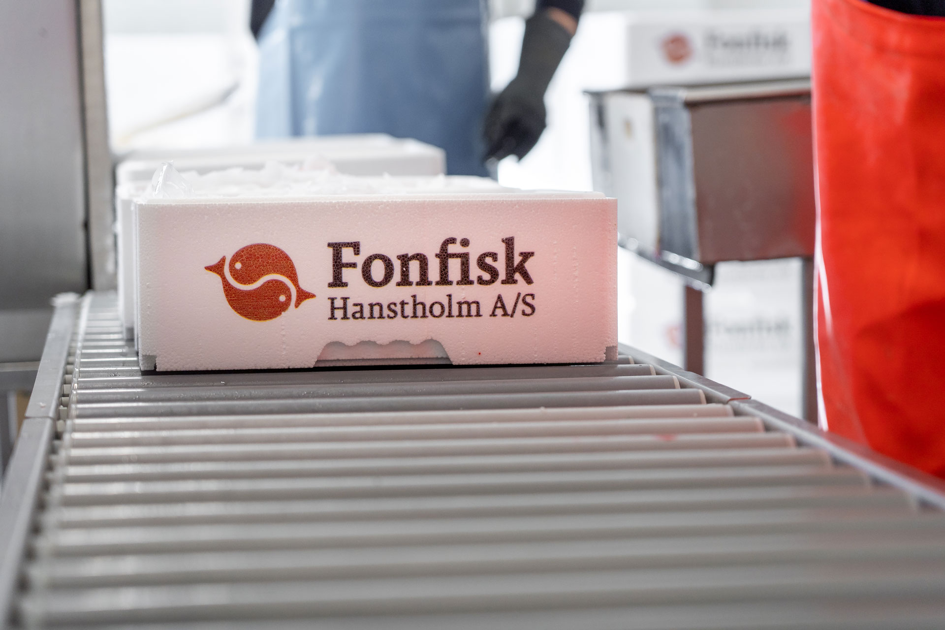 Fonfisk 71 Web